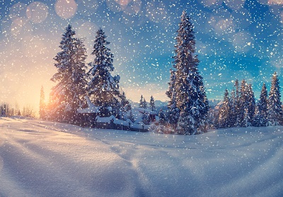 NeurOptimal neurofeedback for anxiety